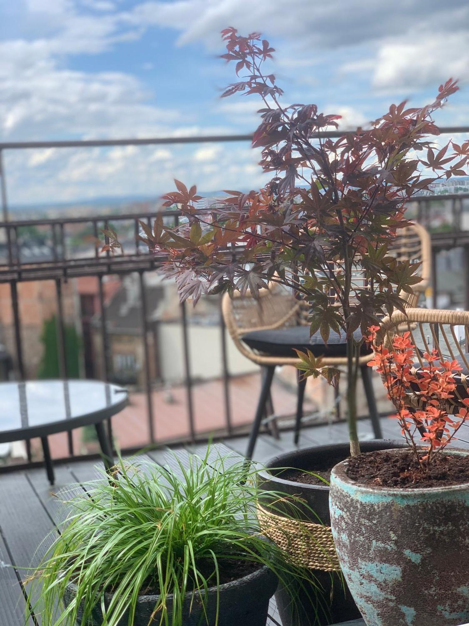 Appartamento Loft21 Cracovia Esterno foto